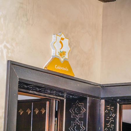 Alcalá del Valle La Esperanza酒店 外观 照片